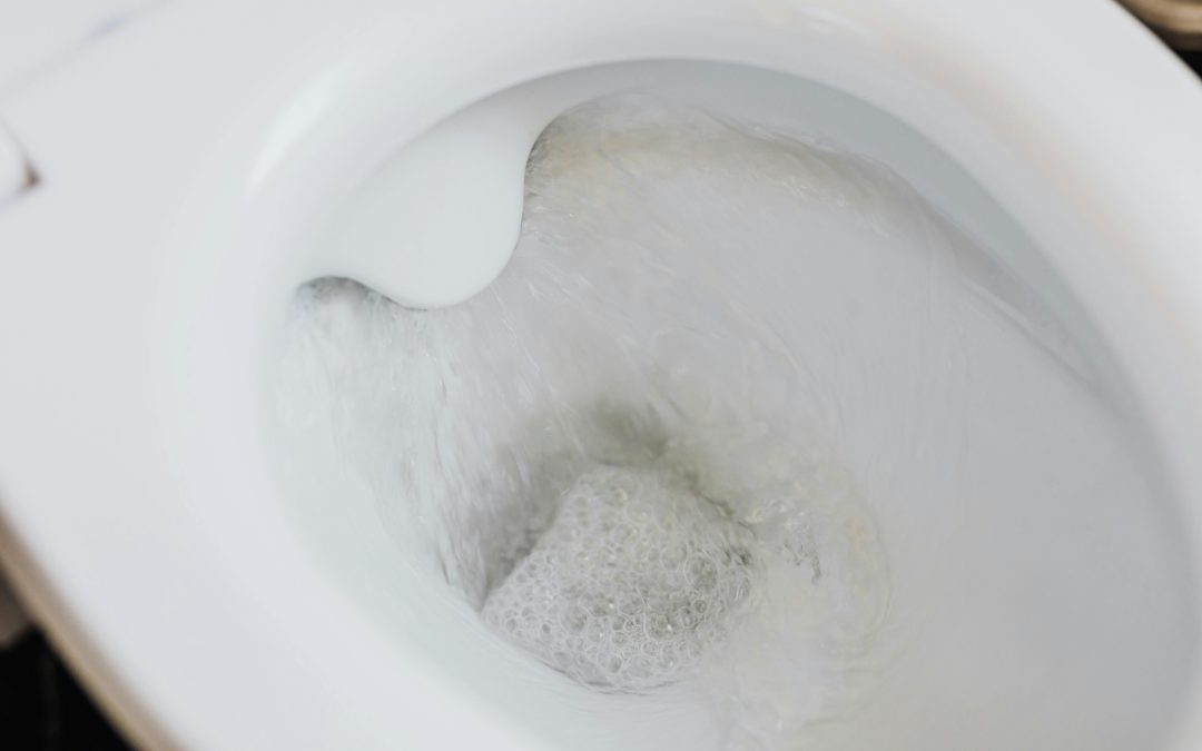 The Smarter Way of Dealing with a Clogged Toilet Without Stress